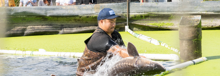 A man holding a sturgeon in a pool of water