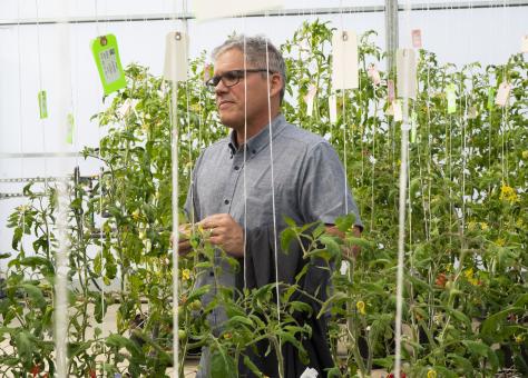 Man surrounded by plants in a greenhouse