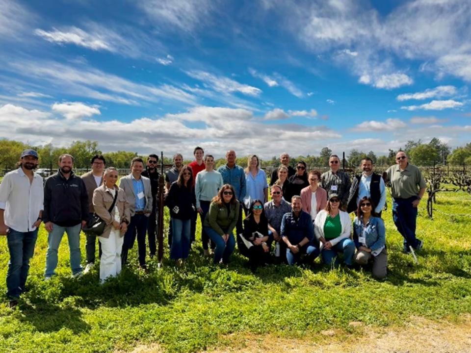 Wine Executive Program participants standing in the UC Davis vineyard